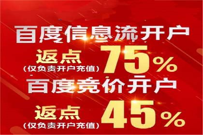 百度SEM竞价案例：揭秘高效广告投放策略